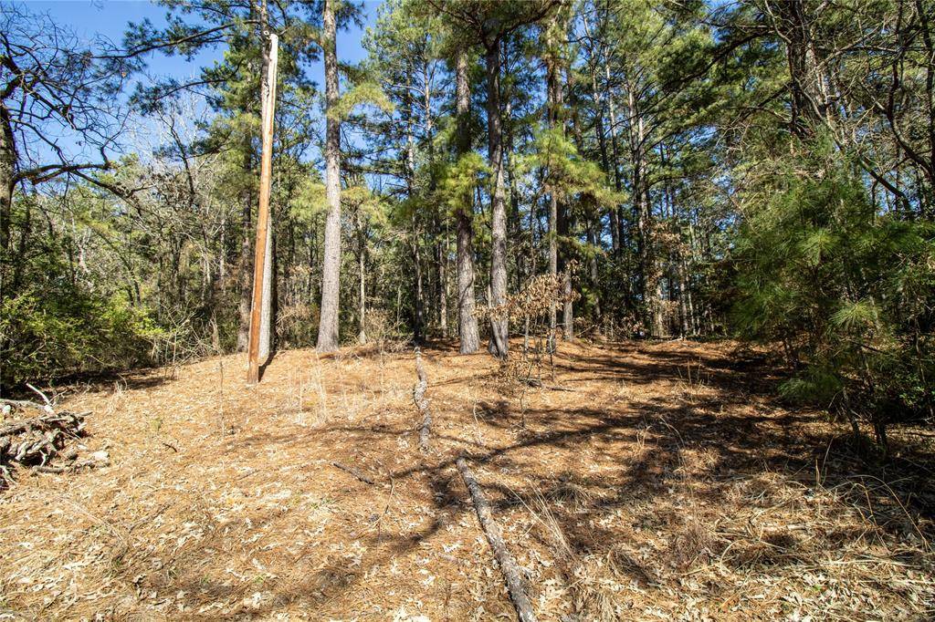 Oakwood, TX 75855,273 FCR
