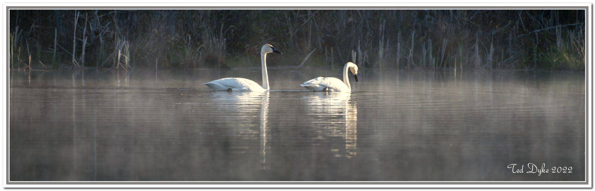 Drummond/north Elmsley, ON K7H 0E5,00 Poole DR