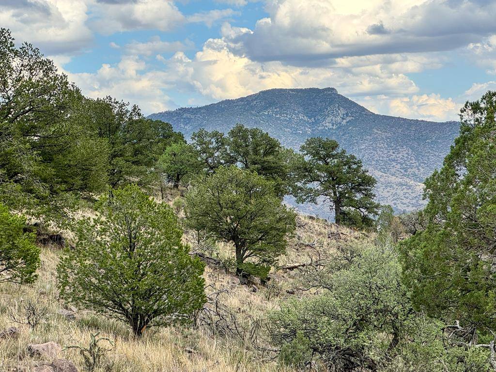 Fort Davis, TX 79734,336 High Lonesome