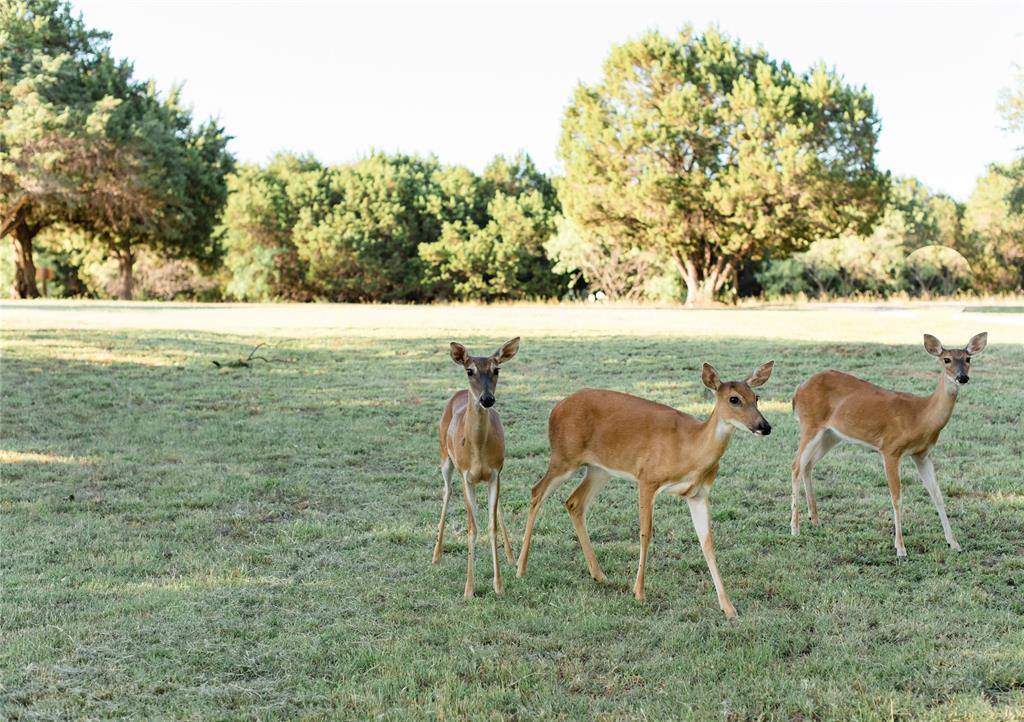 Graford, TX 76449,2037 Harris Drive