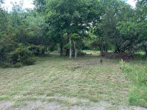 Whitney, TX 76692,38057 Brookside Drive