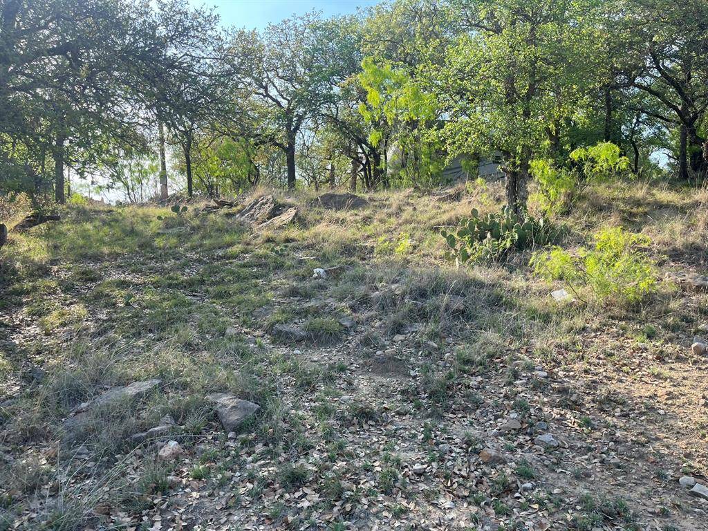 May, TX 76857,TBD Oak Point Drive