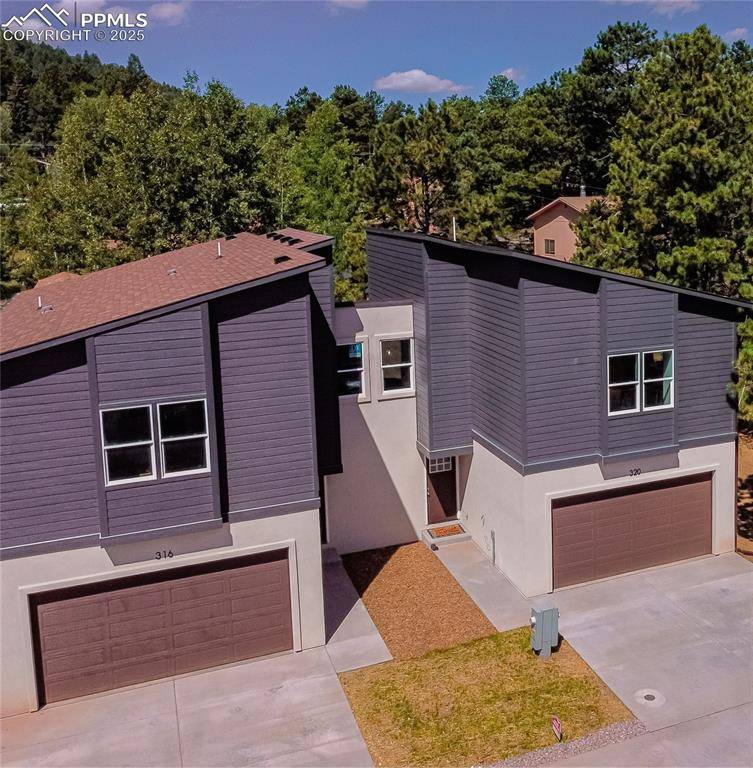 Woodland Park, CO 80863,315 Spruce Meadow GRV