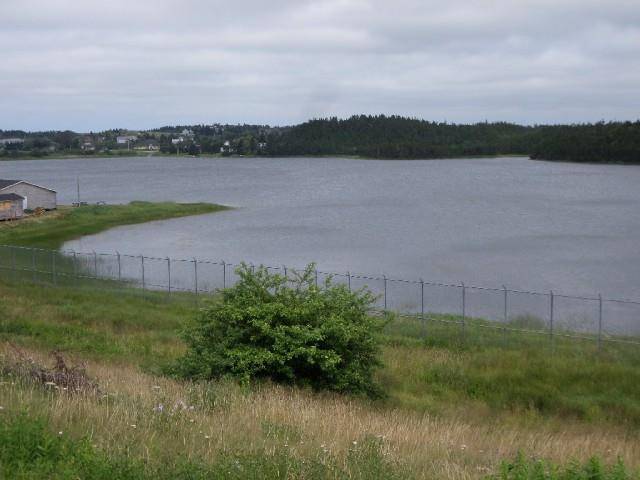 Whitbourne, NL A0B 3K0,Lot 2 Junction Pond #LOT 2
