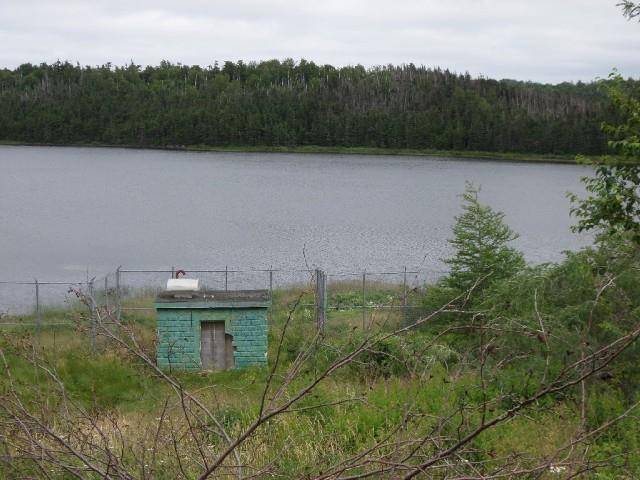 Whitbourne, NL A0B 3K0,Lot 2 Junction Pond #LOT 2