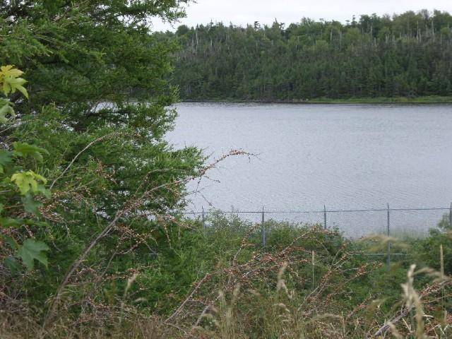 Whitbourne, NL A0B 3K0,Lot 2 Junction Pond #LOT 2