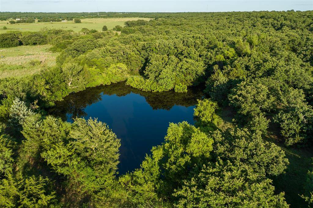 Bowie, TX 76230,TBD FM 2127