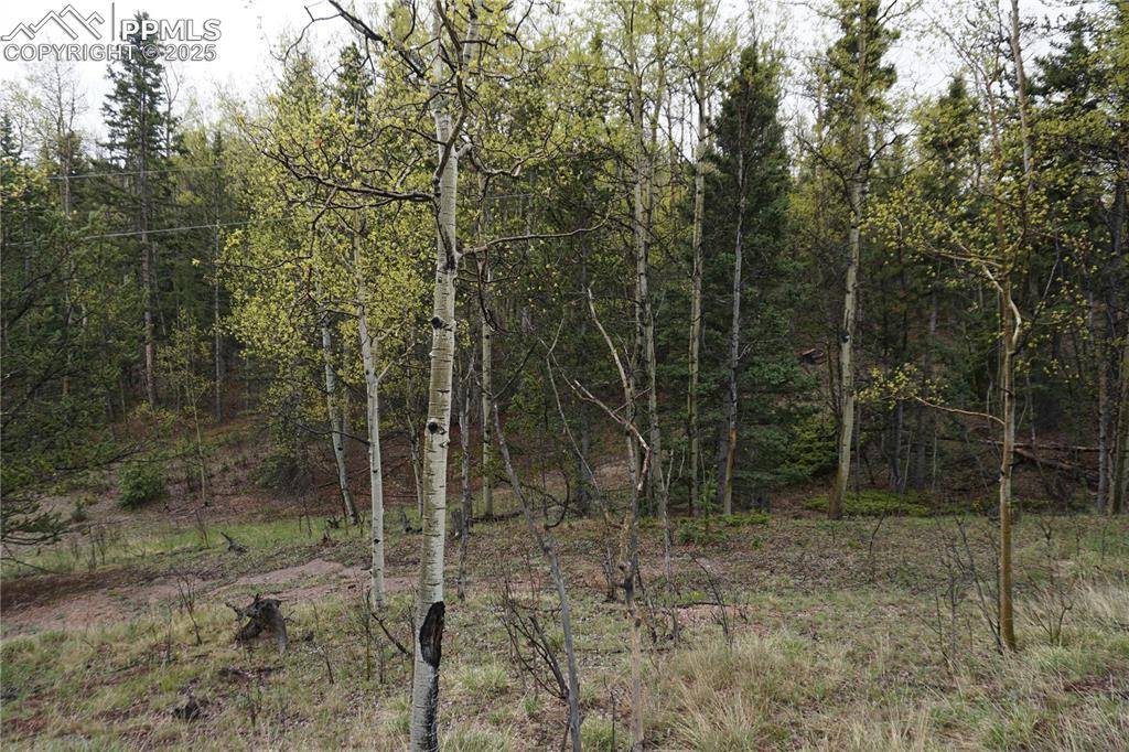 Cripple Creek, CO 80813,Vacant Land