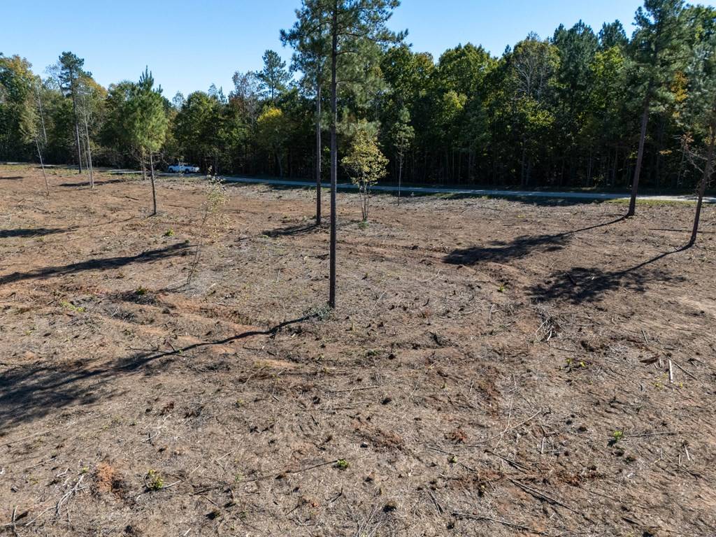 Lawrenceville, VA 23868,107.71AC Millville Road