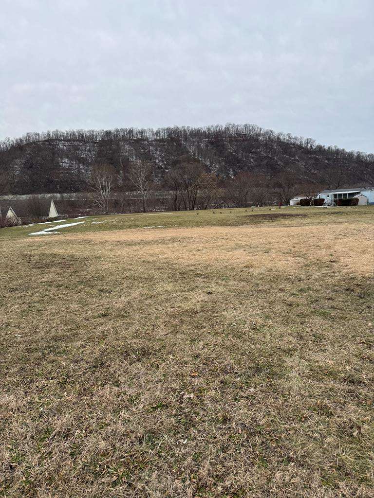 Mcmechen, WV 26040,1100 W. BALTIMORE AVE