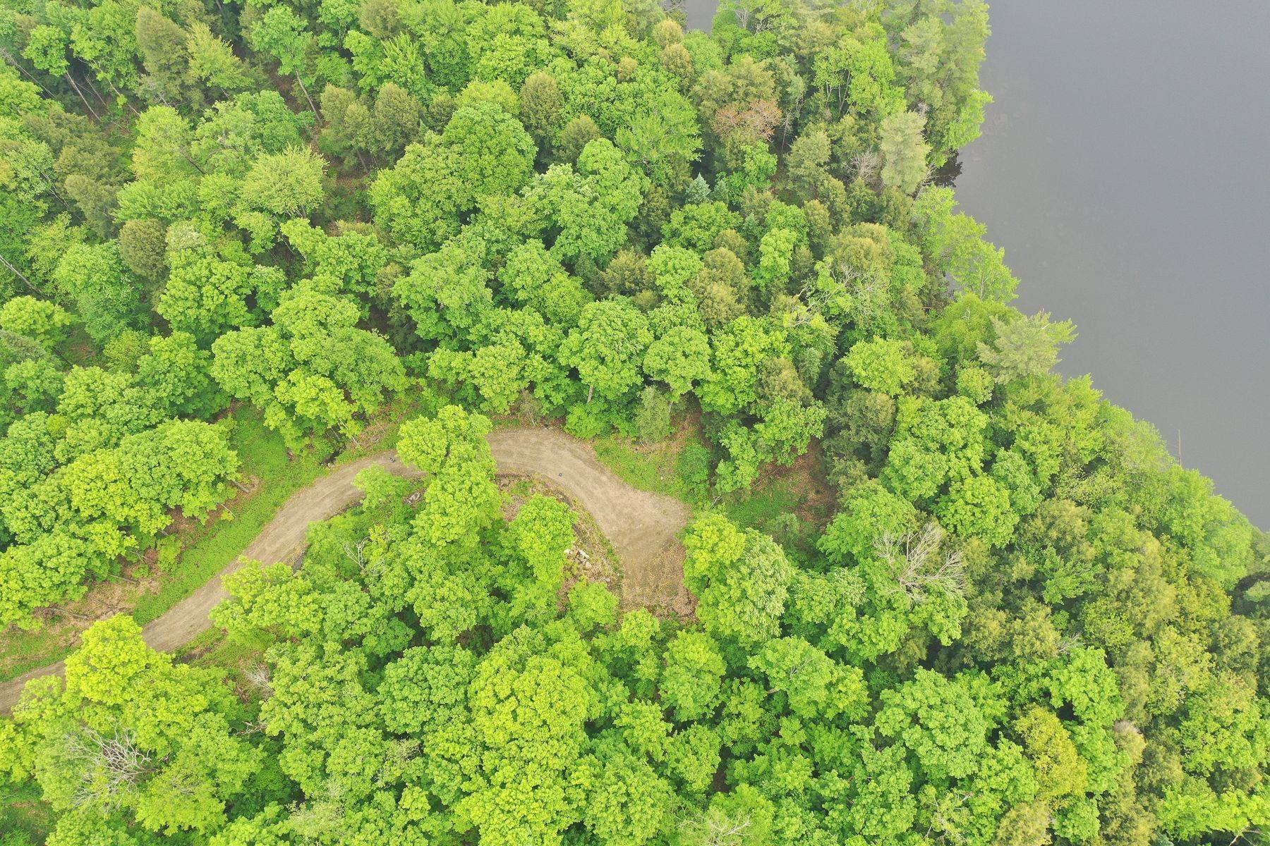 Lake Of Bays, ON P0B 1M0,1180 HENEY LAKE RD