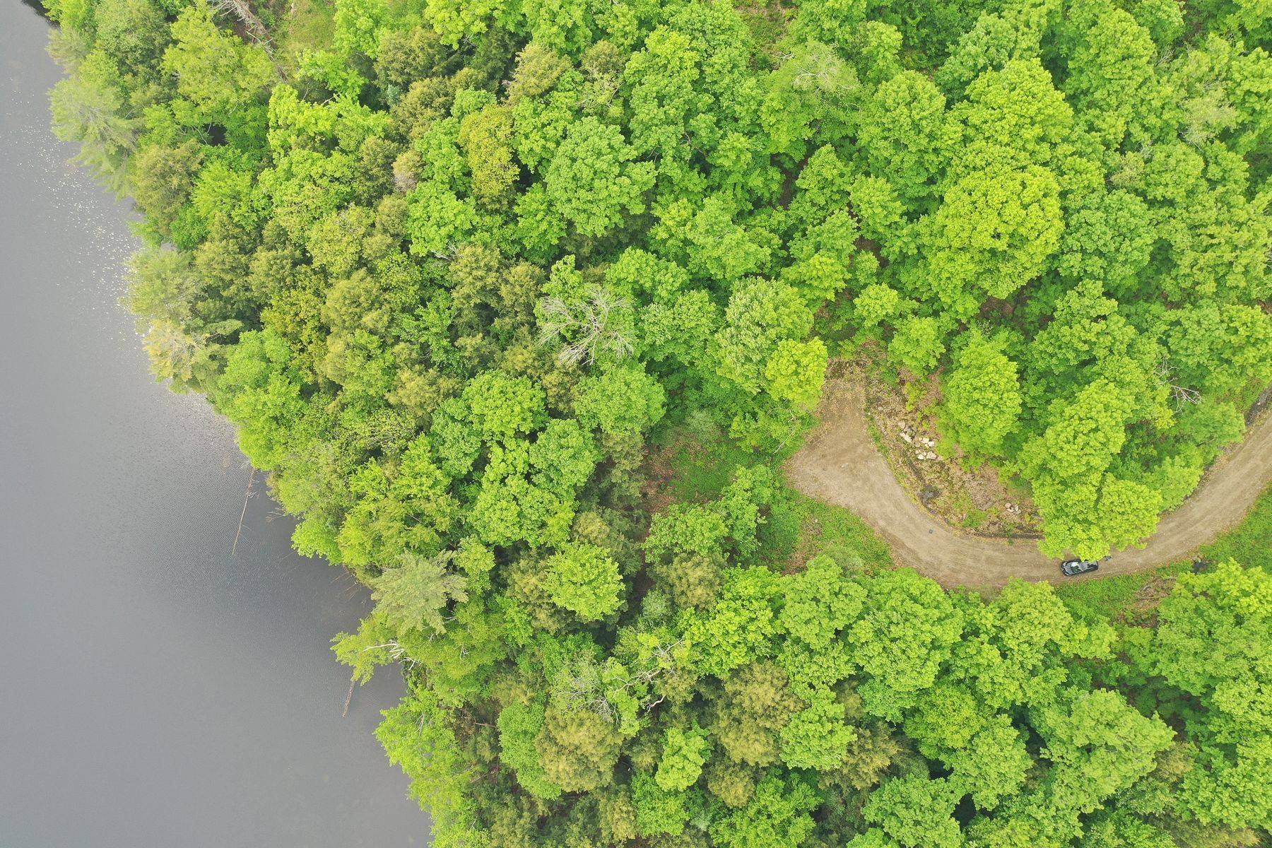 Lake Of Bays, ON P0B 1M0,1180 HENEY LAKE RD