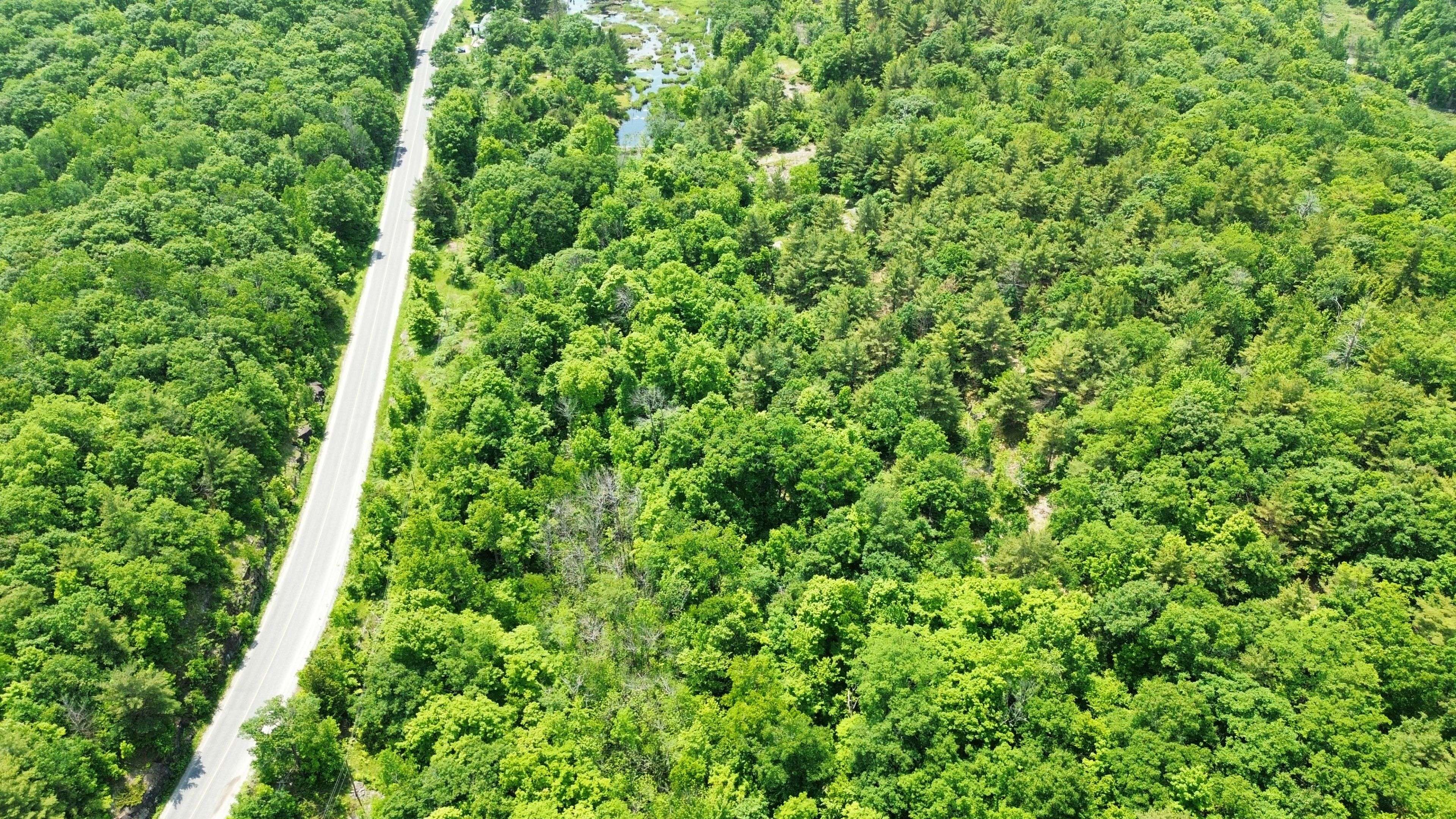 Frontenac, ON K0H 2B0,938 Crow Lake RD