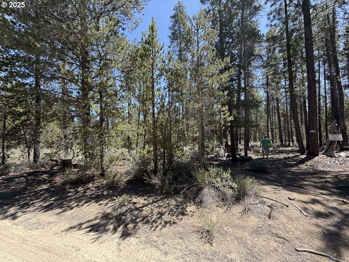 Off NF 9768 #TL 300, Crescent, OR 97733