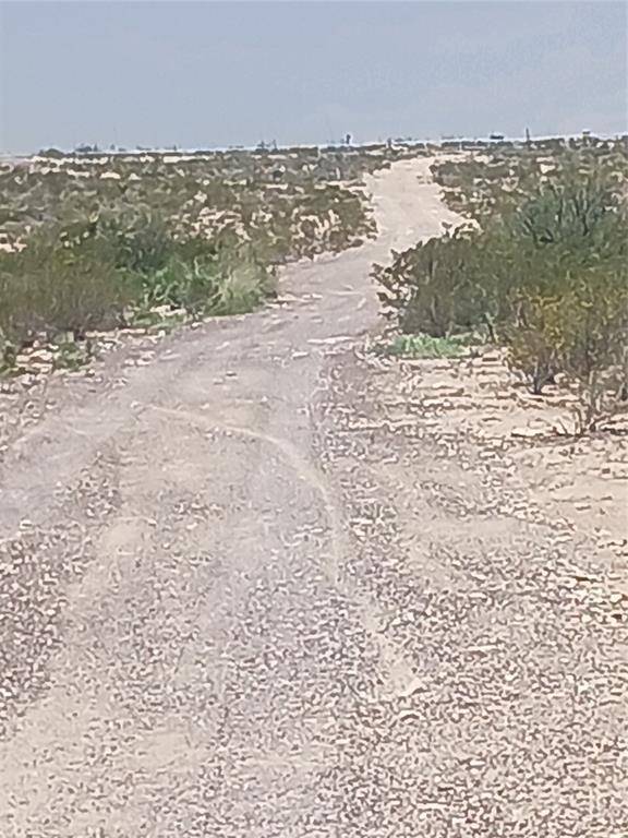 Alpine, TX 79830,51271 S Hwy 118
