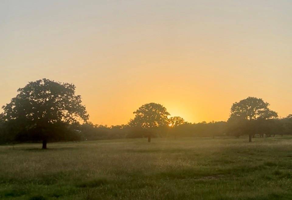 Lipan, TX 76462,895 Sunset Mountain Road
