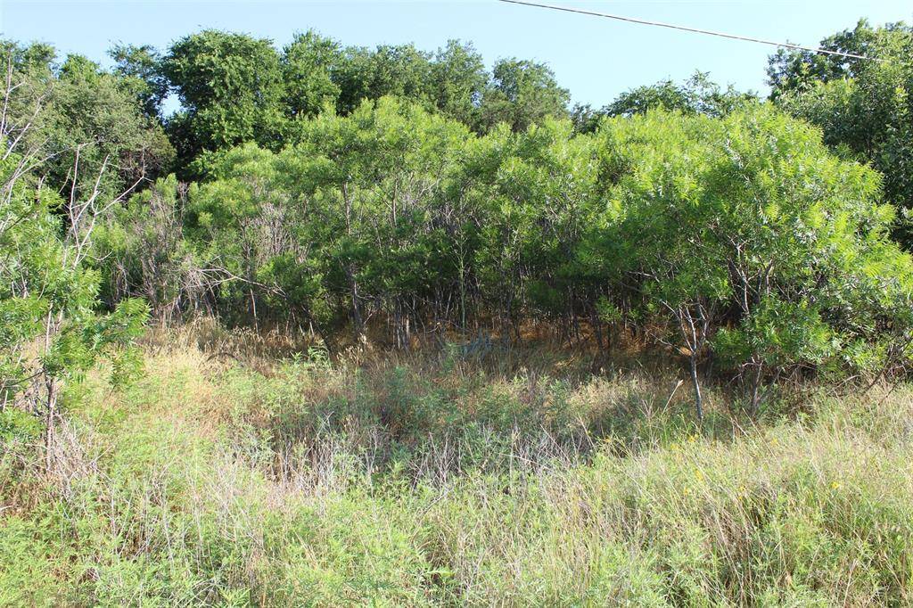 Granbury, TX 76048,2703 Brazos River Drive