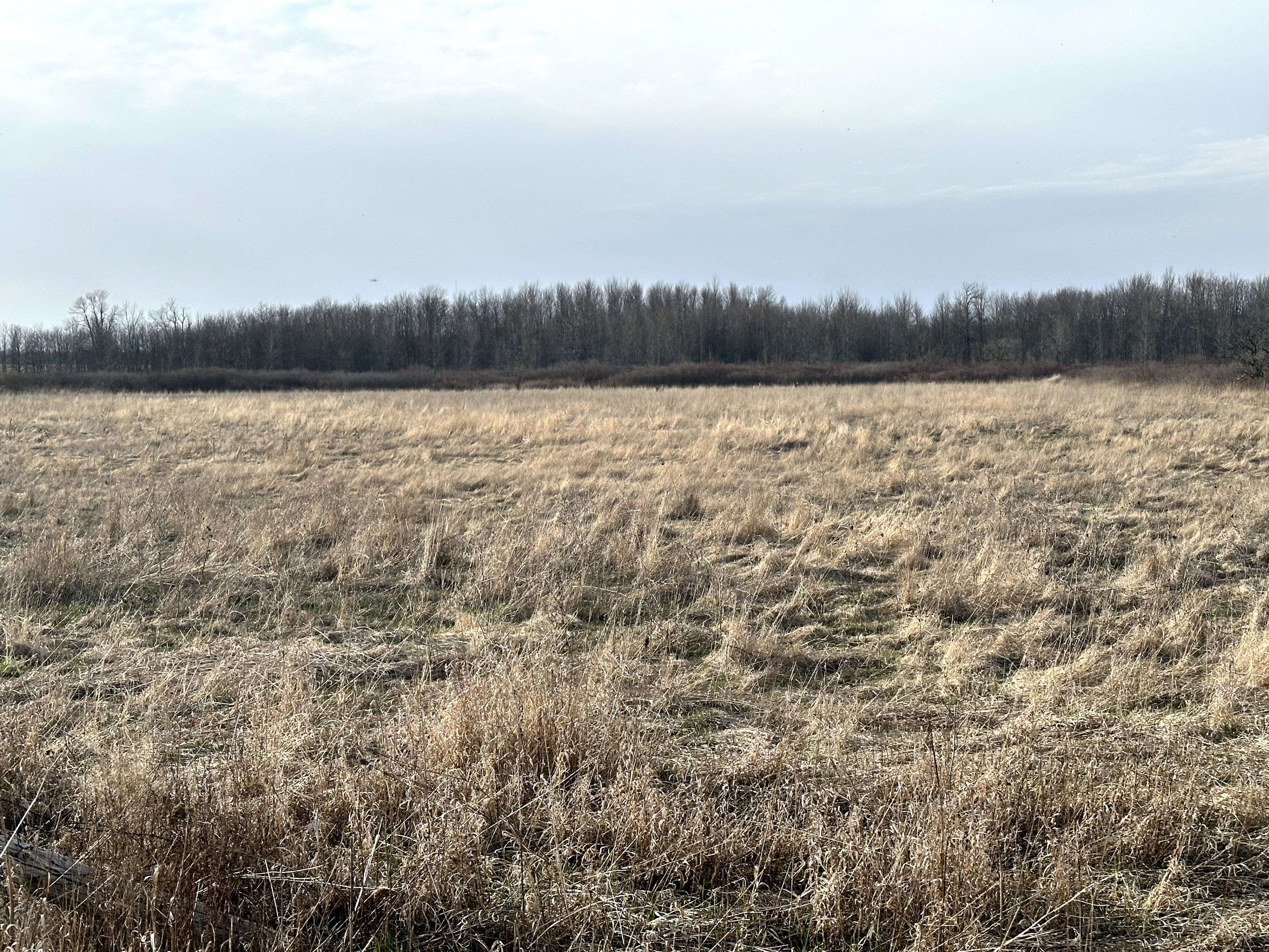 Frontenac Islands, ON K0H 2S0,68 3rd CONCESSION RD