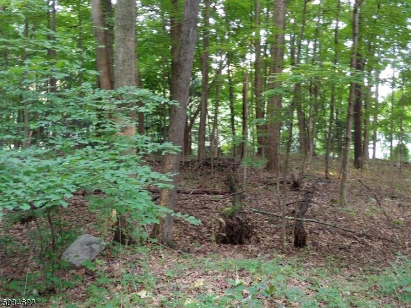Hampton Twp., NJ 07860,208 Highland Ave