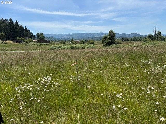 Pleasant Hill, OR 97455,N Morningstar Road