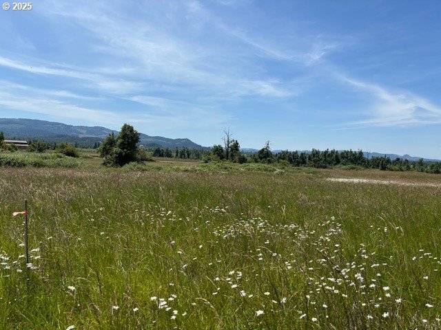 Pleasant Hill, OR 97455,N Morningstar Road