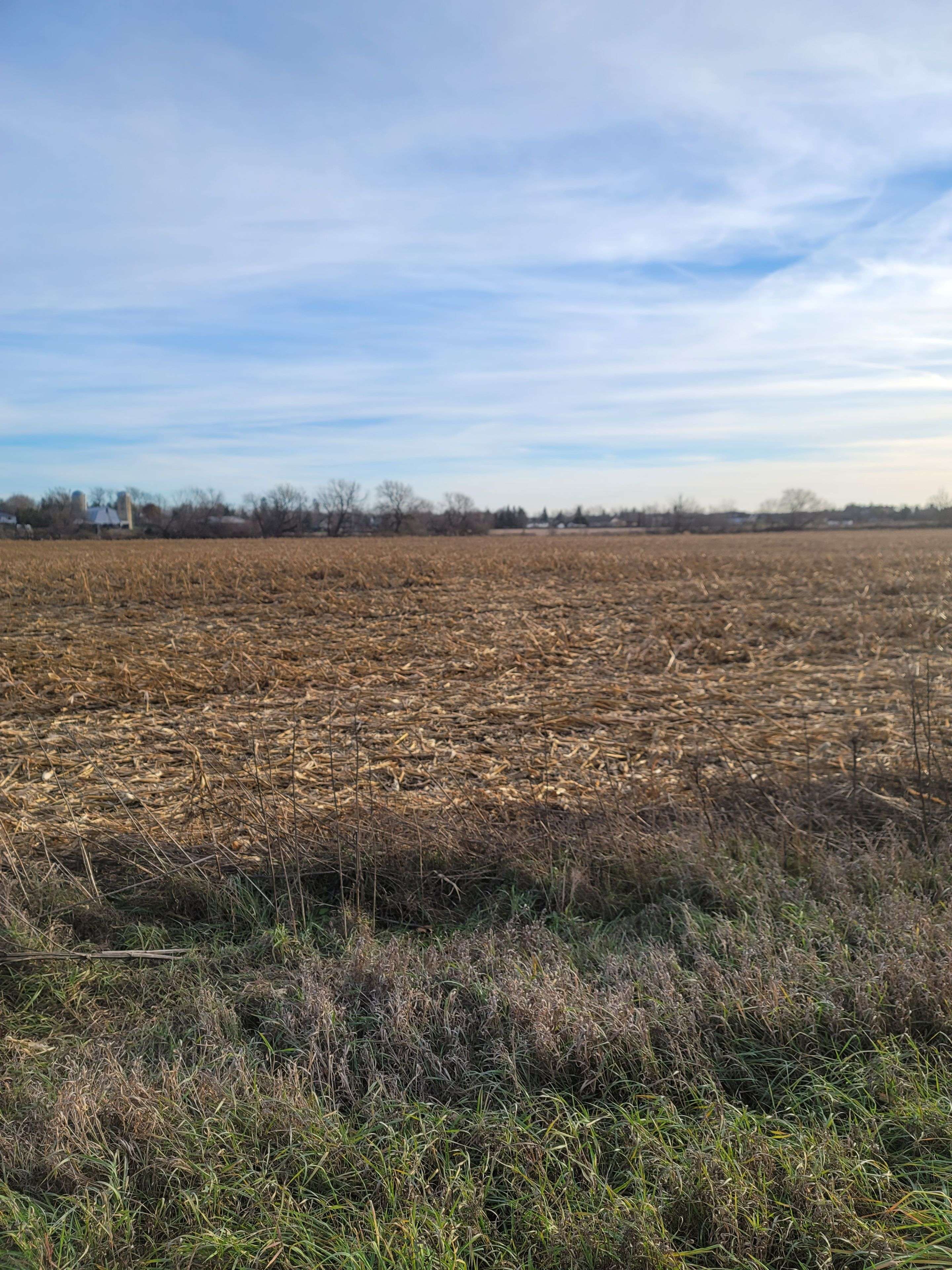 Manotick - Kars - Rideau Twp And Area, ON K0A 2T0,2404 Roger Stevens DR