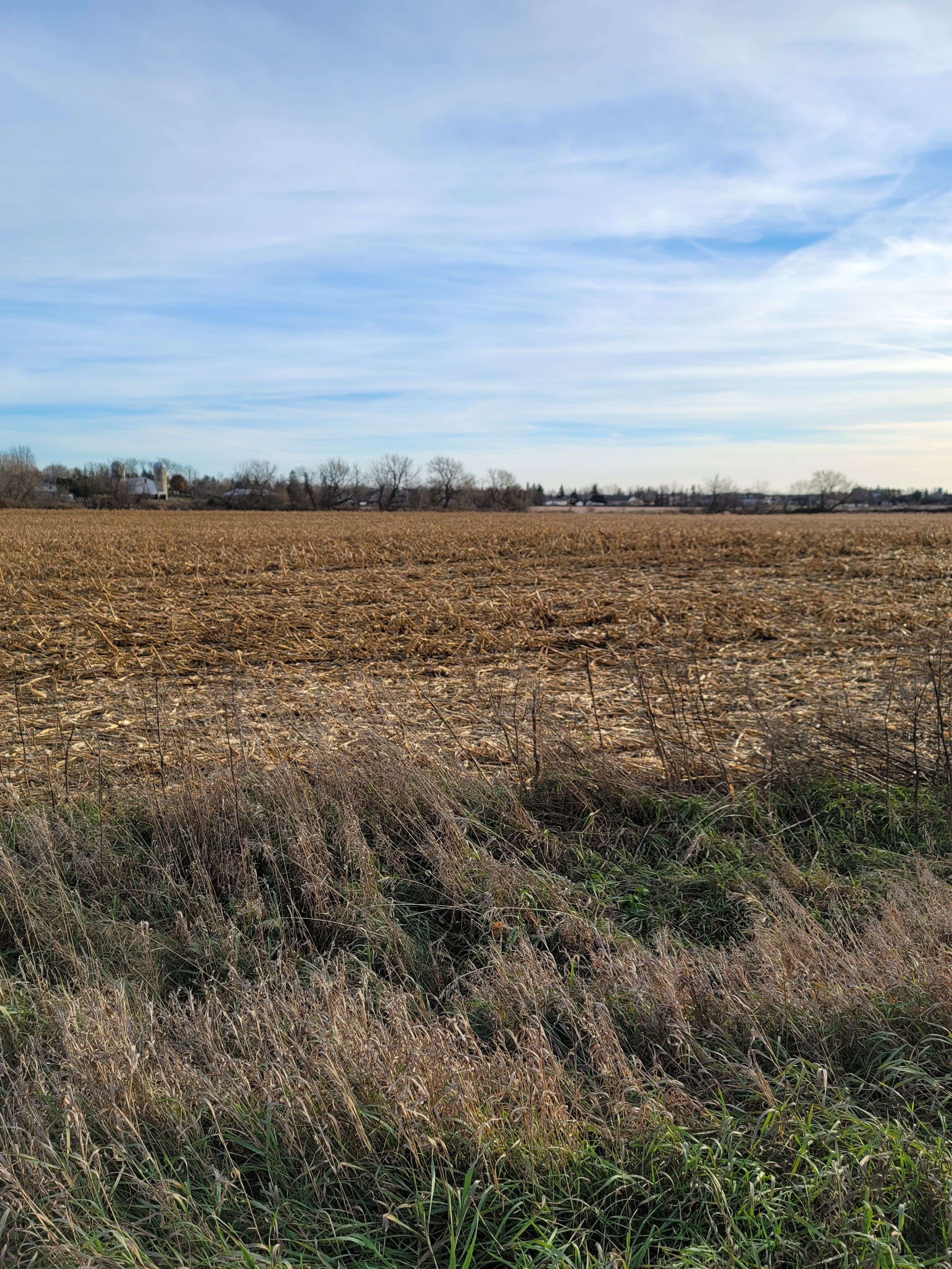 Manotick - Kars - Rideau Twp And Area, ON K0A 2T0,2404 Roger Stevens DR