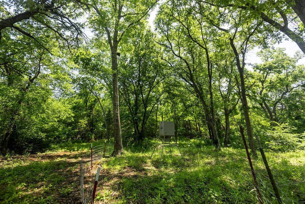 Sadler, TX 76264,479 Siebman Road