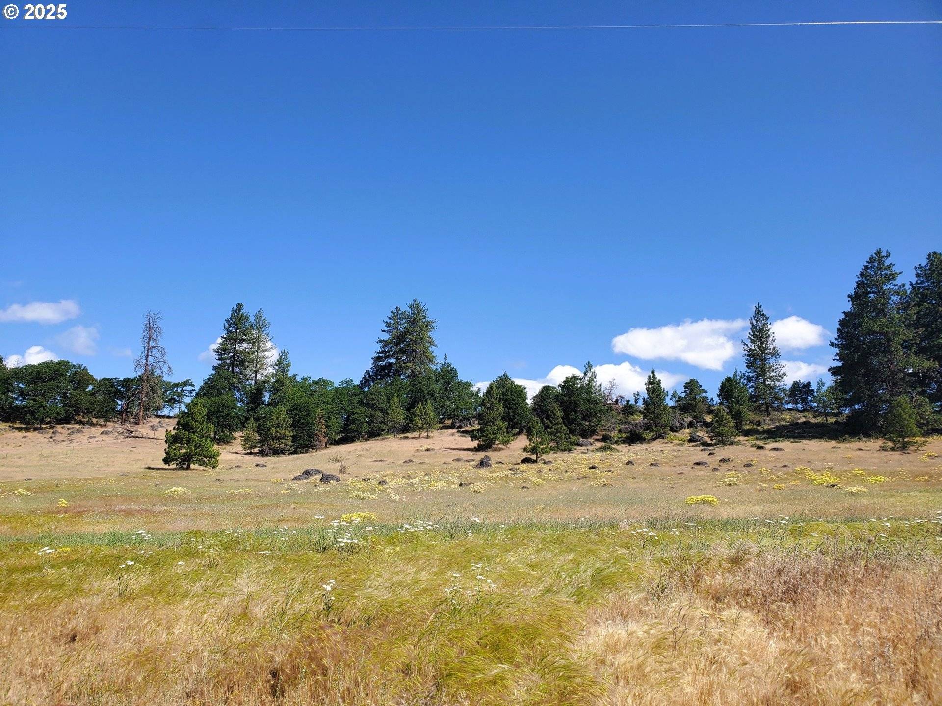 Goldendale, WA 98620,60 Chandler RD