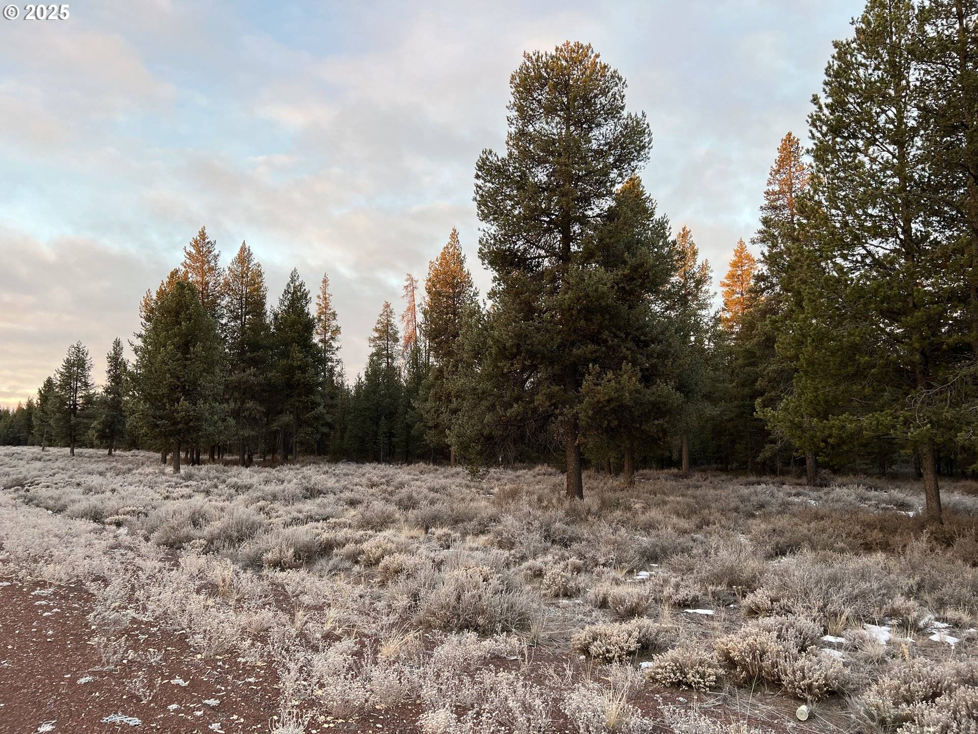 HWY 97 N, Chemult, OR 97731