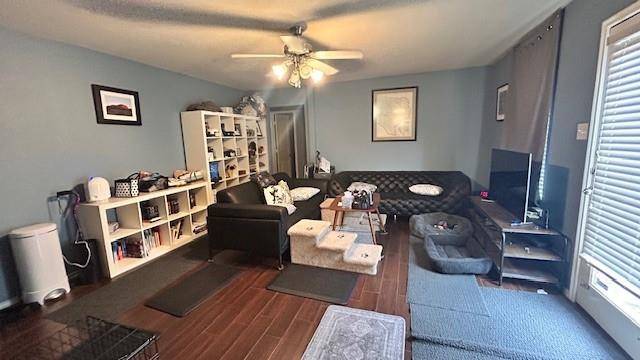 Mckinney, TX 75072,9920 Laurel Cherry Drive