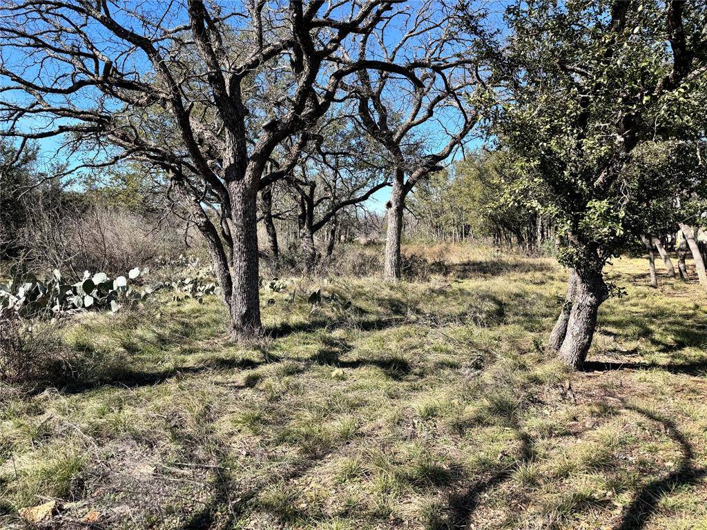 Brownwood, TX 76801,TBD Lot 240 Feather Bay Drive