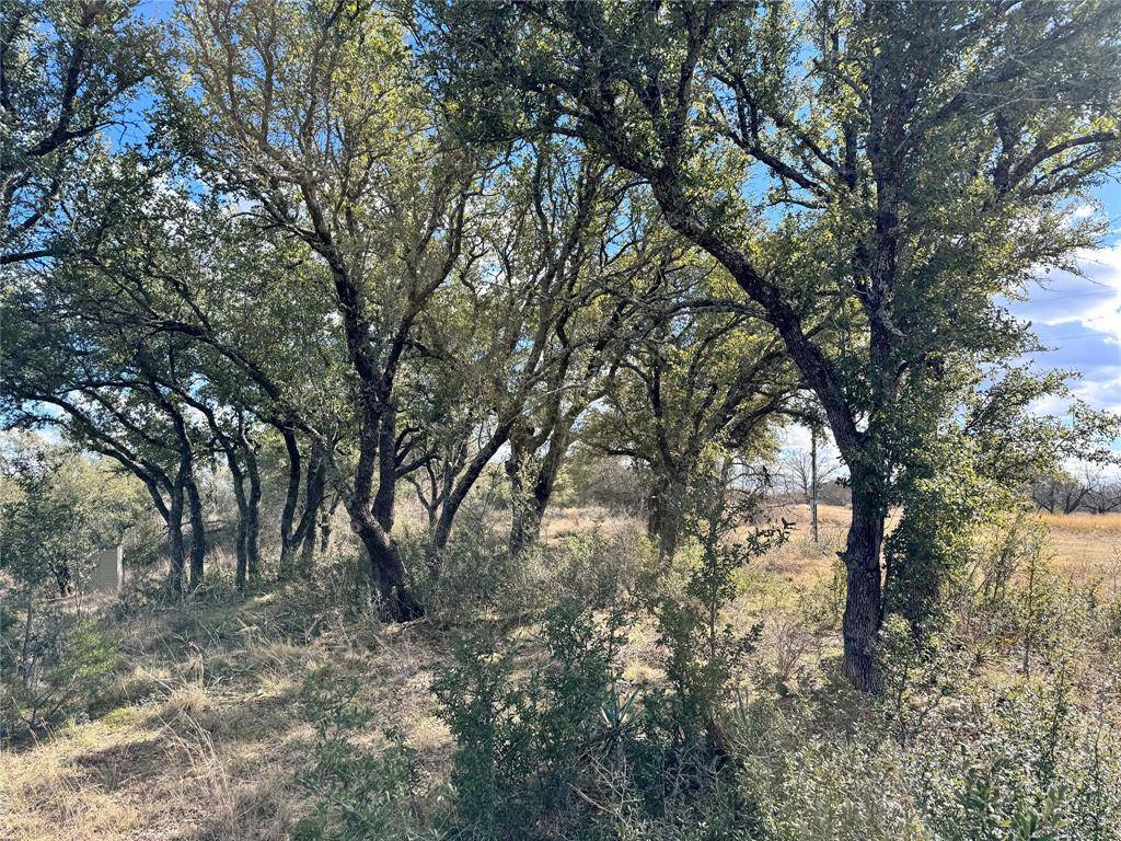 Brownwood, TX 76801,TBD Lot 240 Feather Bay Drive