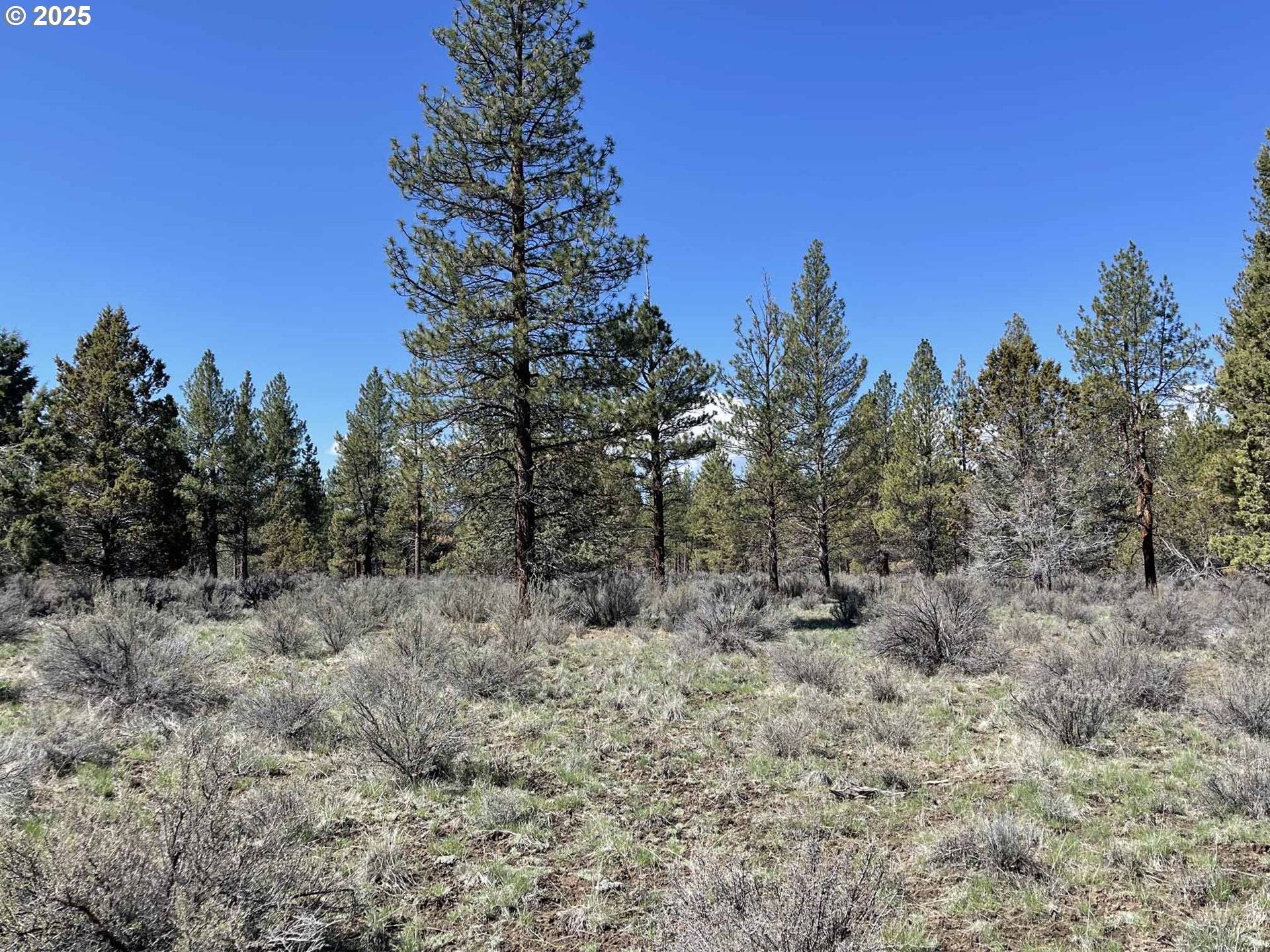 Chiloquin, OR 97624,Off NF Road 44 #1600