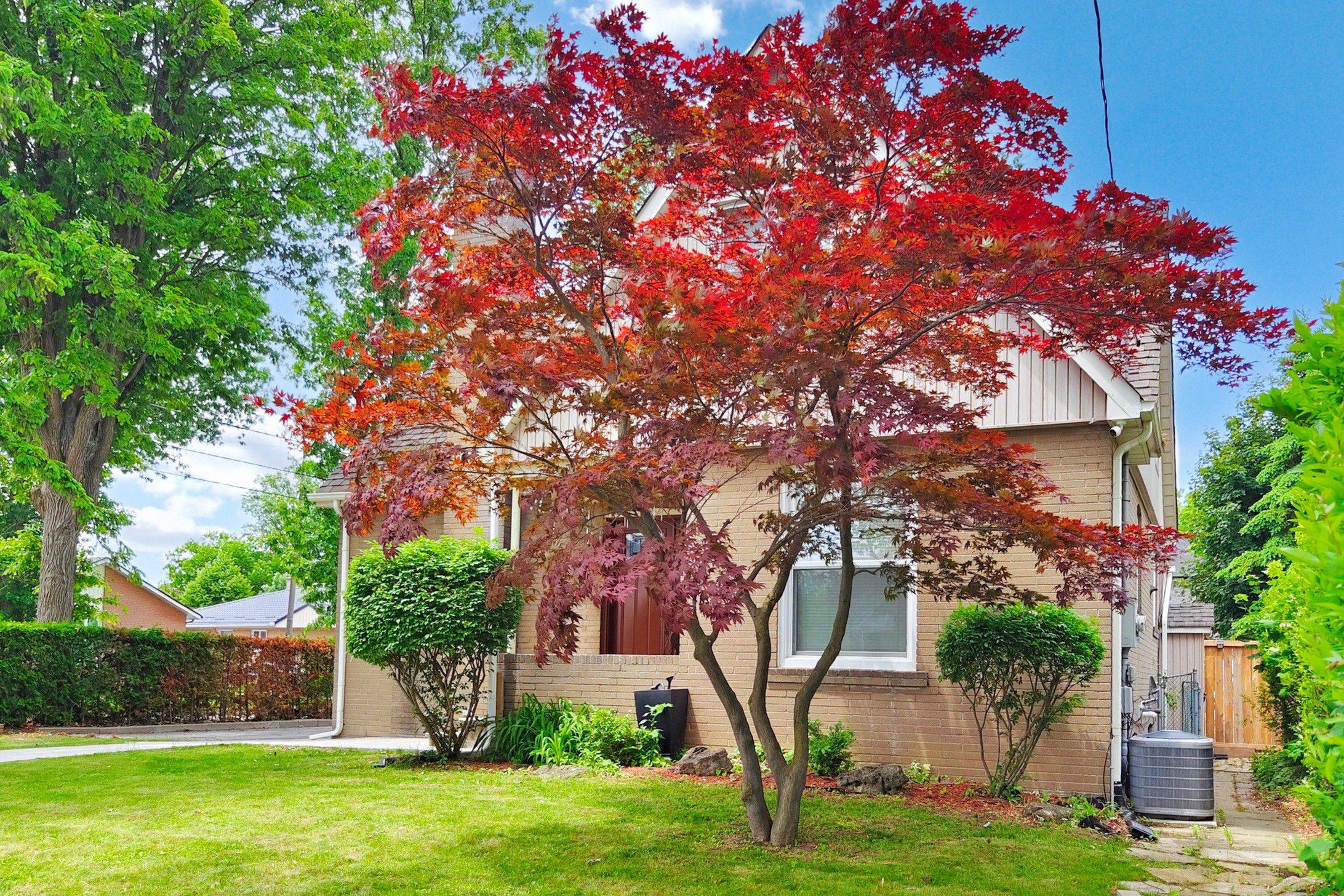 Brampton, ON L6Y 1G1,26 Gregory ST