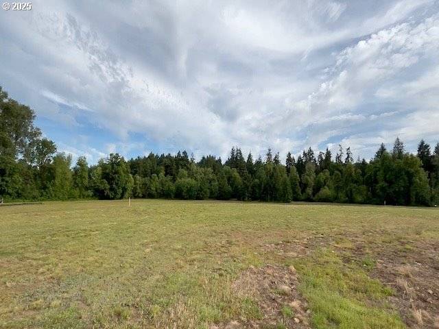 481 SW OREGON FALLS DR, Dallas, OR 97338