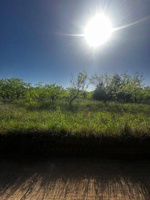 Corsicana, TX 75109,Lot 6 SE County Road 3060