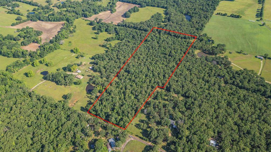 Grand Saline, TX 75140,Van Zandt 1517 CR