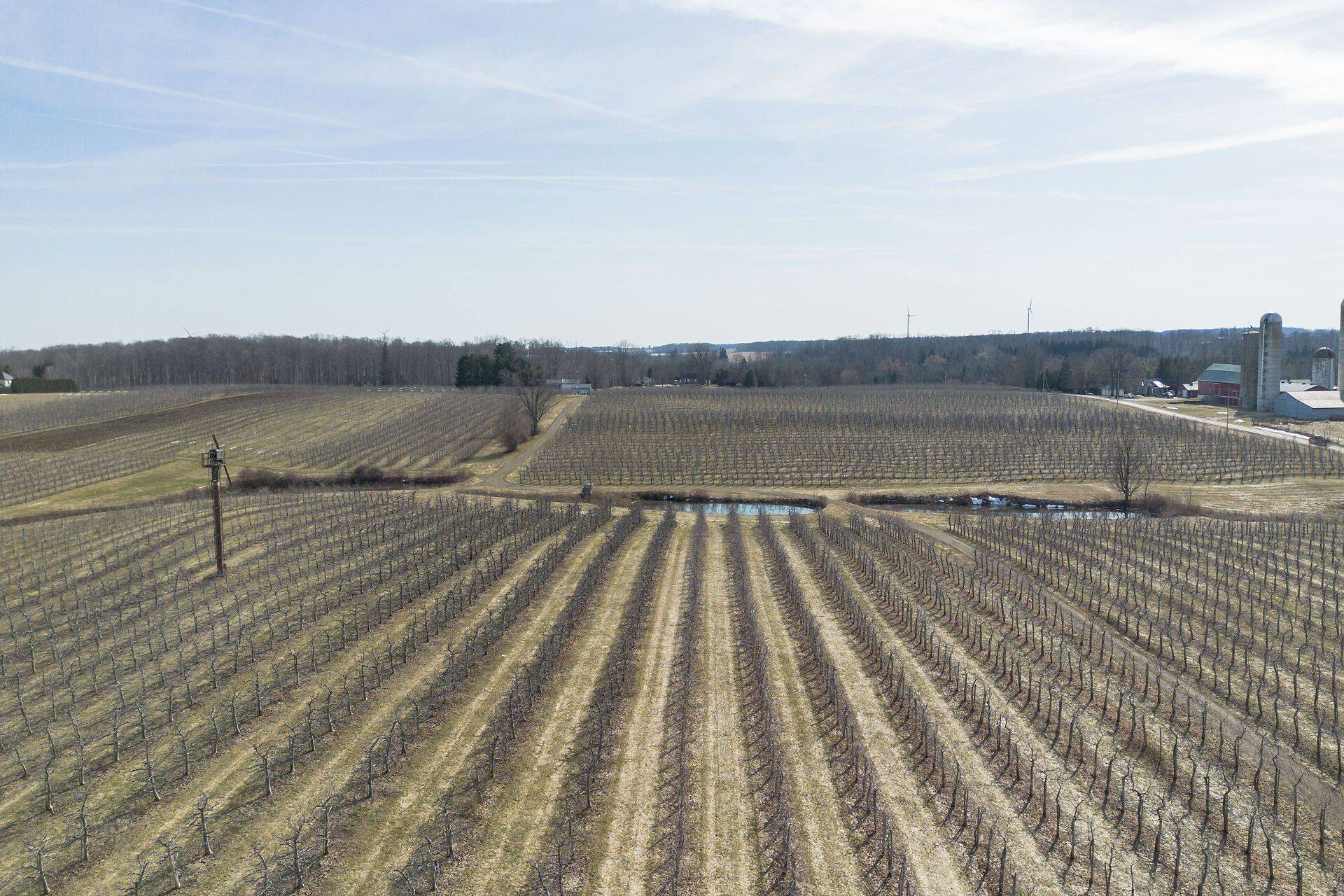 North Middlesex, ON N0M 2B0,1355 Ausable RD