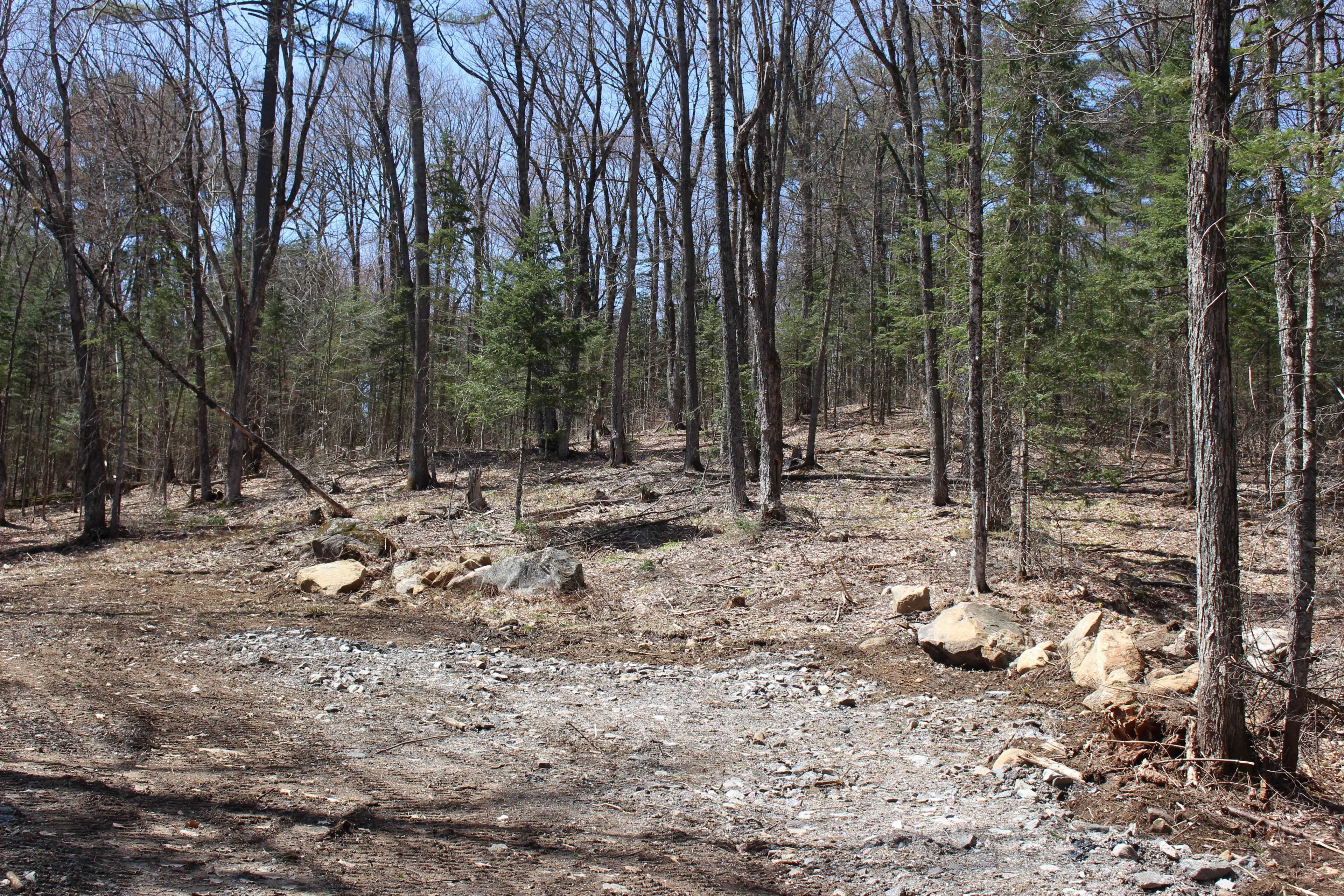 Lake Of Bays, ON P0B 1A0,0000 South Ril Lake RD