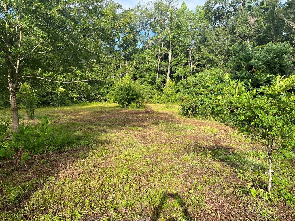 Cairo, GA 39828,103 Creekside Ln