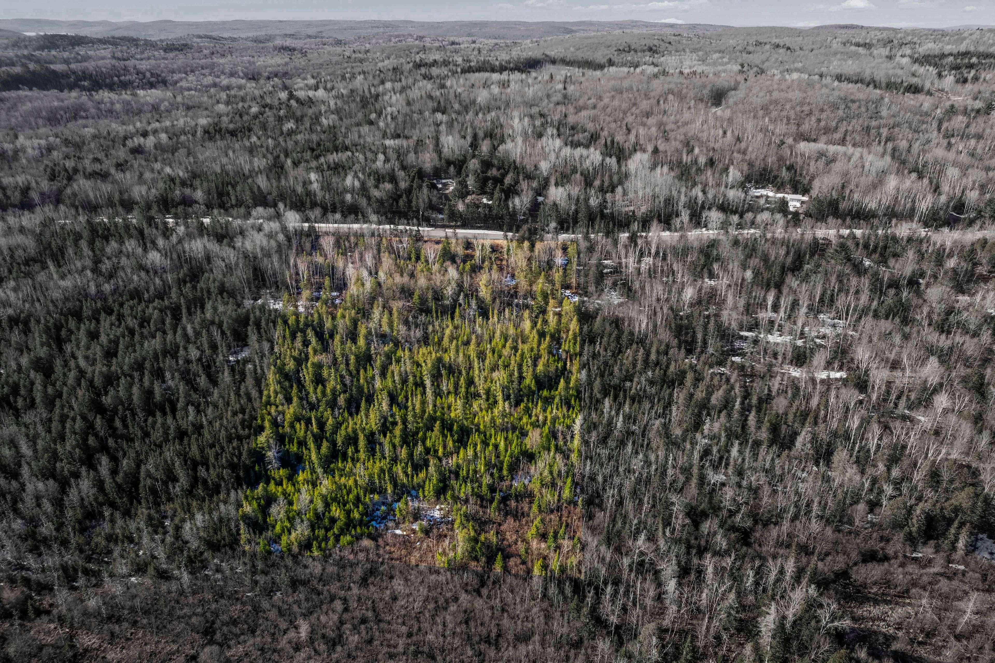 Madawaska Valley, ON K0J 1B0,001 Siberia RD S