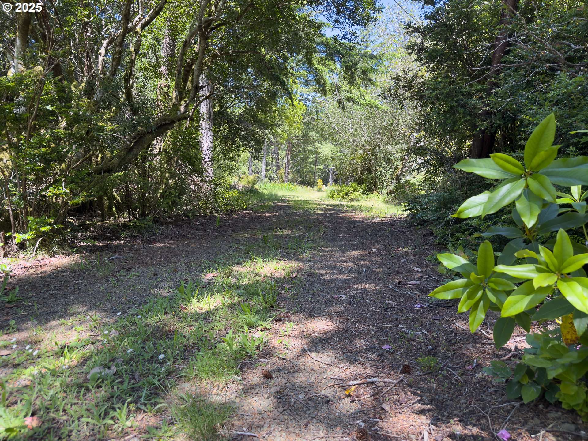 Bandon, OR 97411,88835 SHIRLEY LN