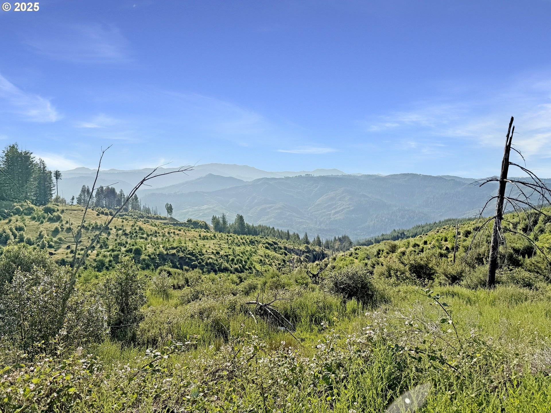 Brookings, OR 97415,466 GARDNER RIDGE RD