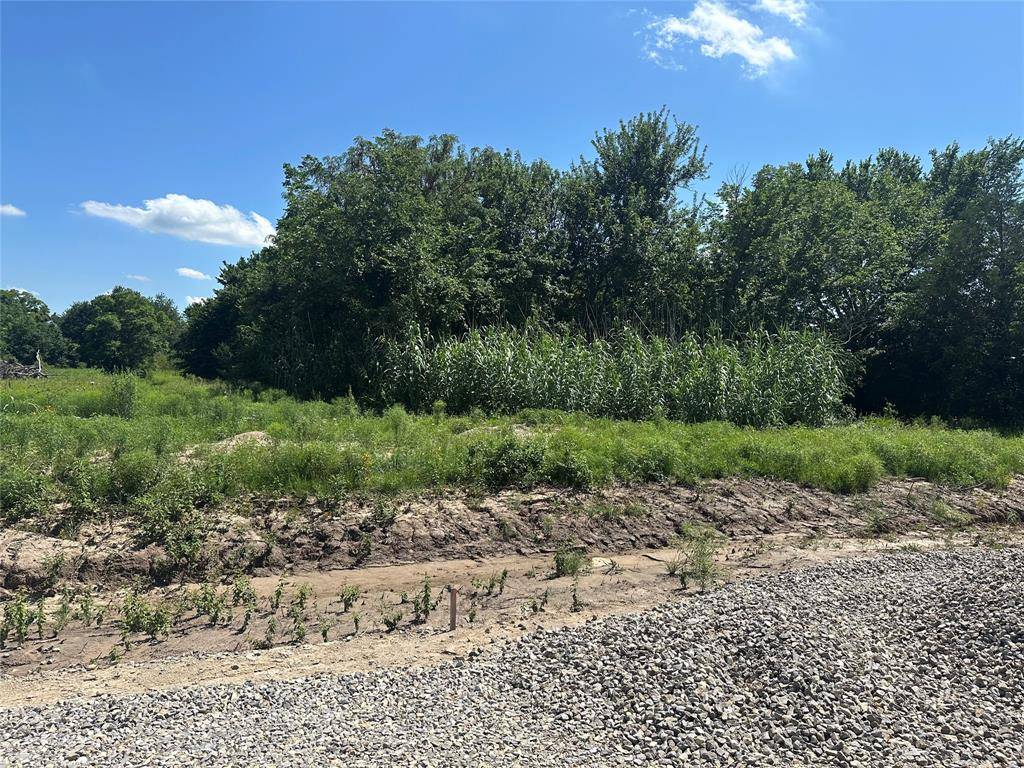 Farmersville, TX 75442,Lot 4 County Road 1110