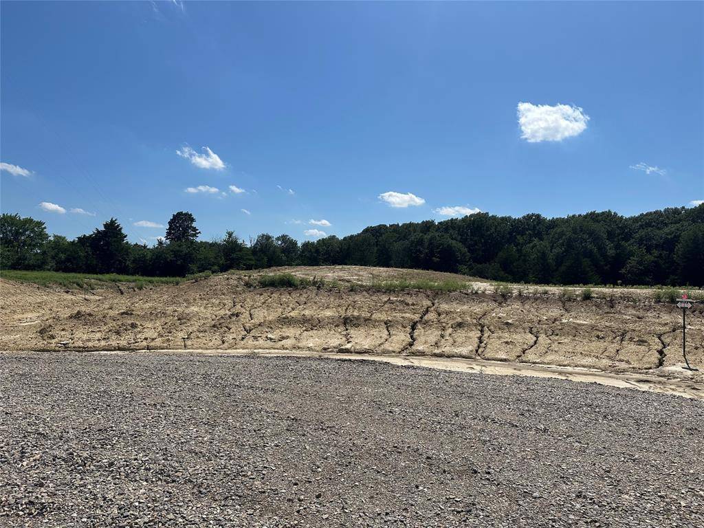 Farmersville, TX 75442,Lot 8 County Road 1110