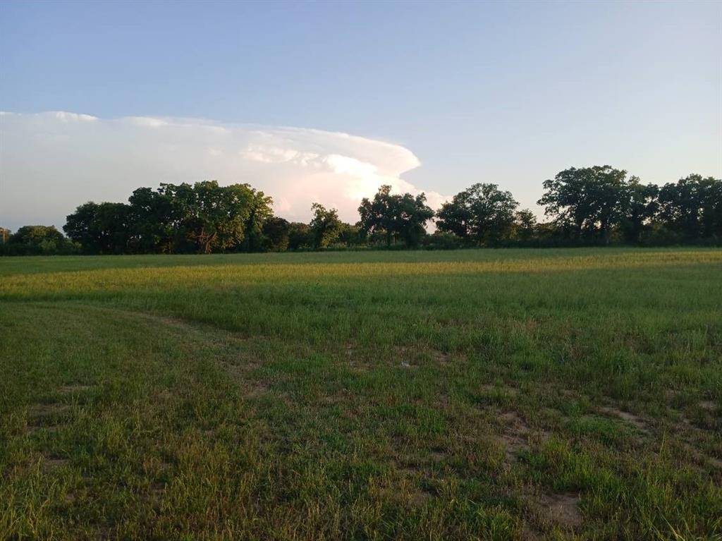 Forestburg, TX 76239,787 Greenwood Lane