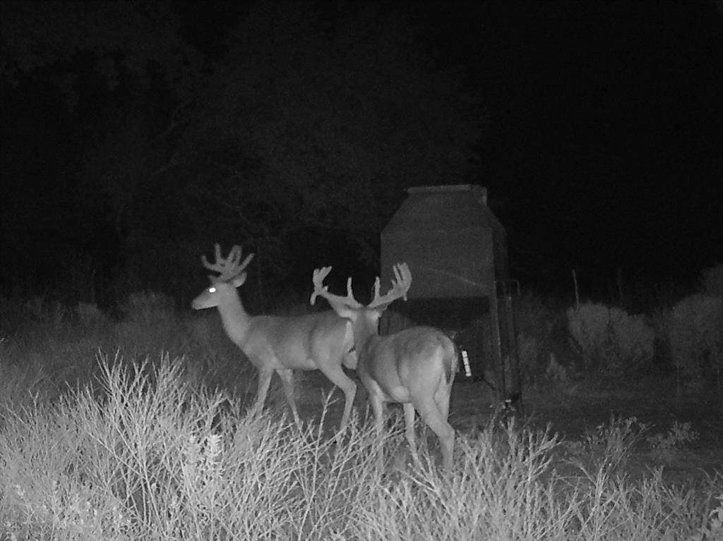Stephenville, TX 76401,TBD Fm-2481 #Lot 9
