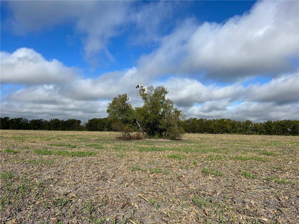 Rogers, TX 76569,TBD CR 117 Road