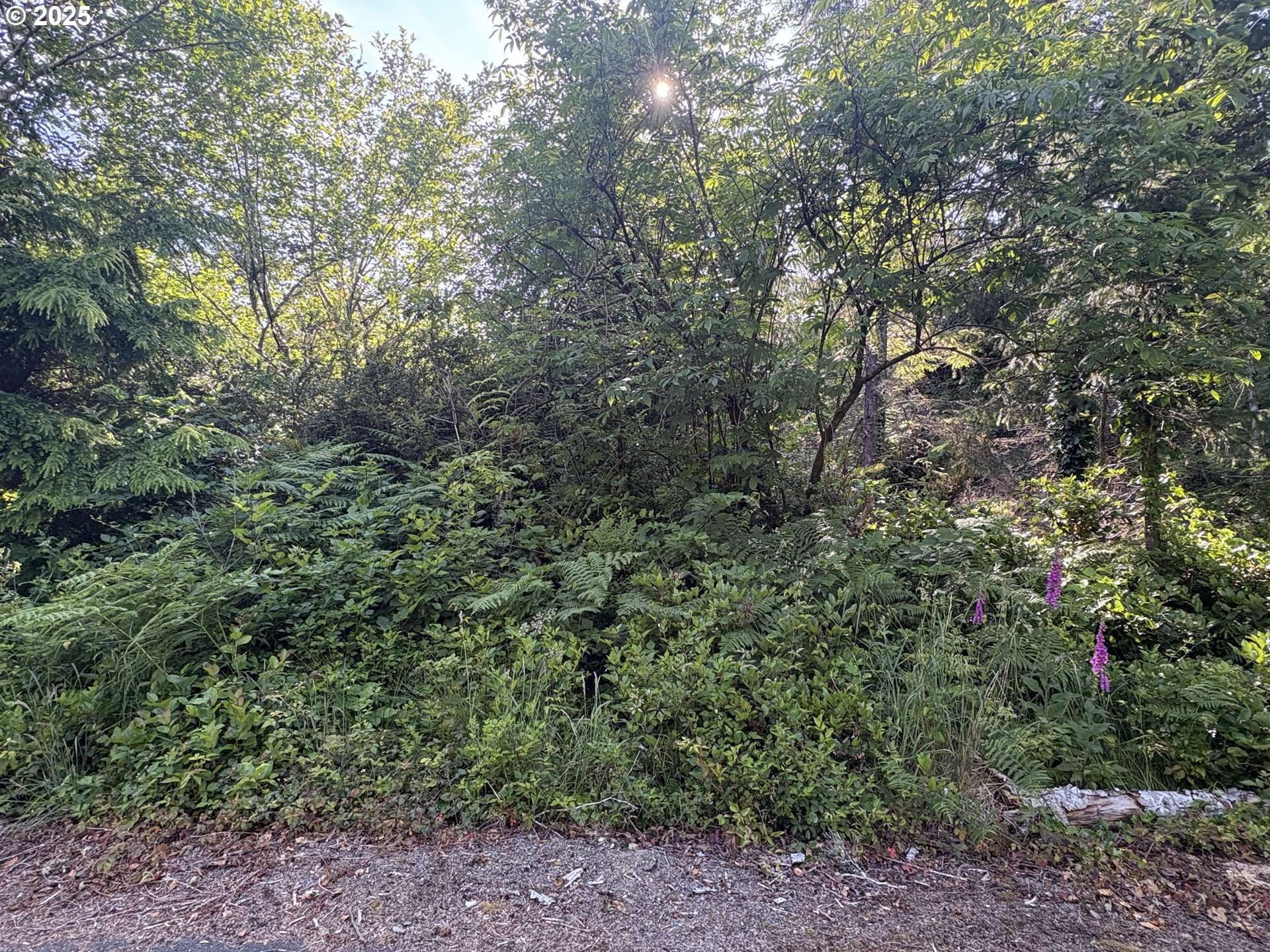 Ocean Park, WA 98640,285 xx Z ST